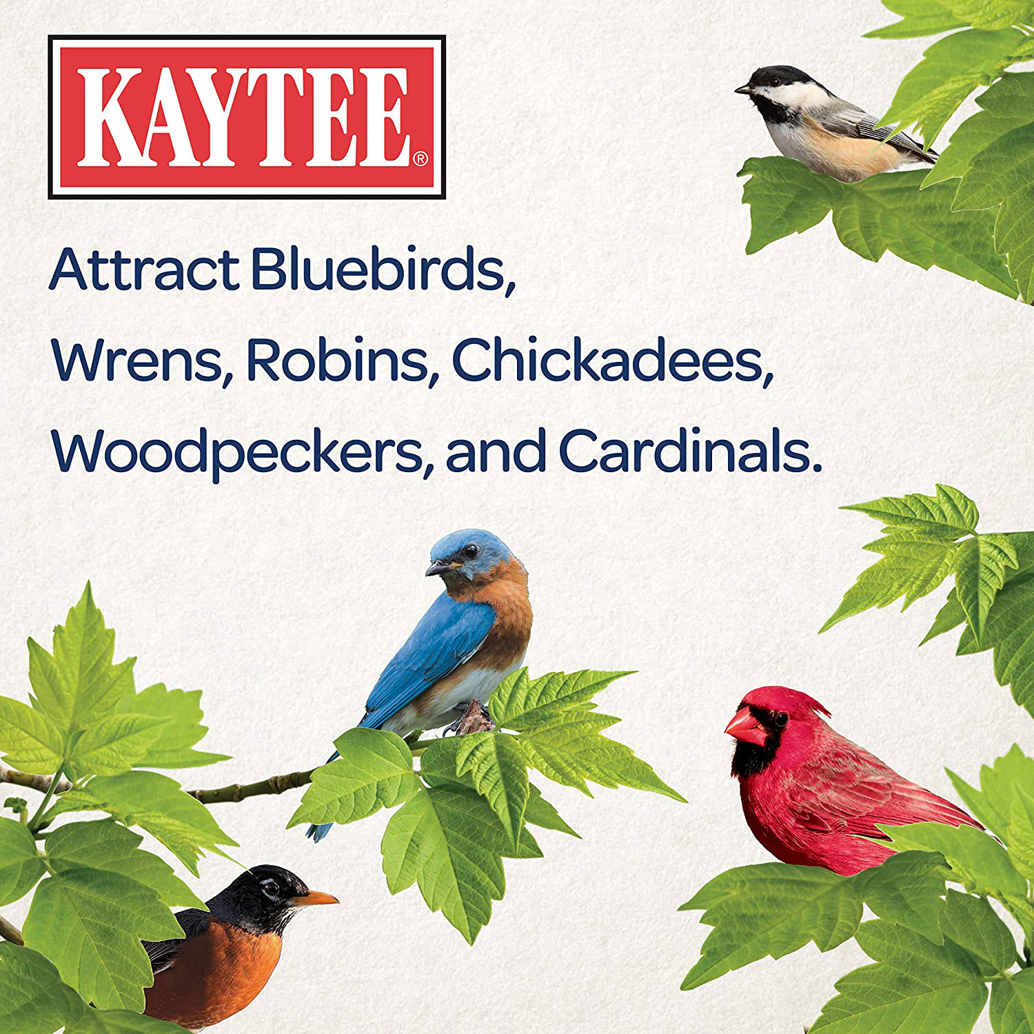 Kaytee Mealworm Food Pouch Animals & Pet Supplies > Pet Supplies > Bird Supplies > Bird Treats Kaytee   