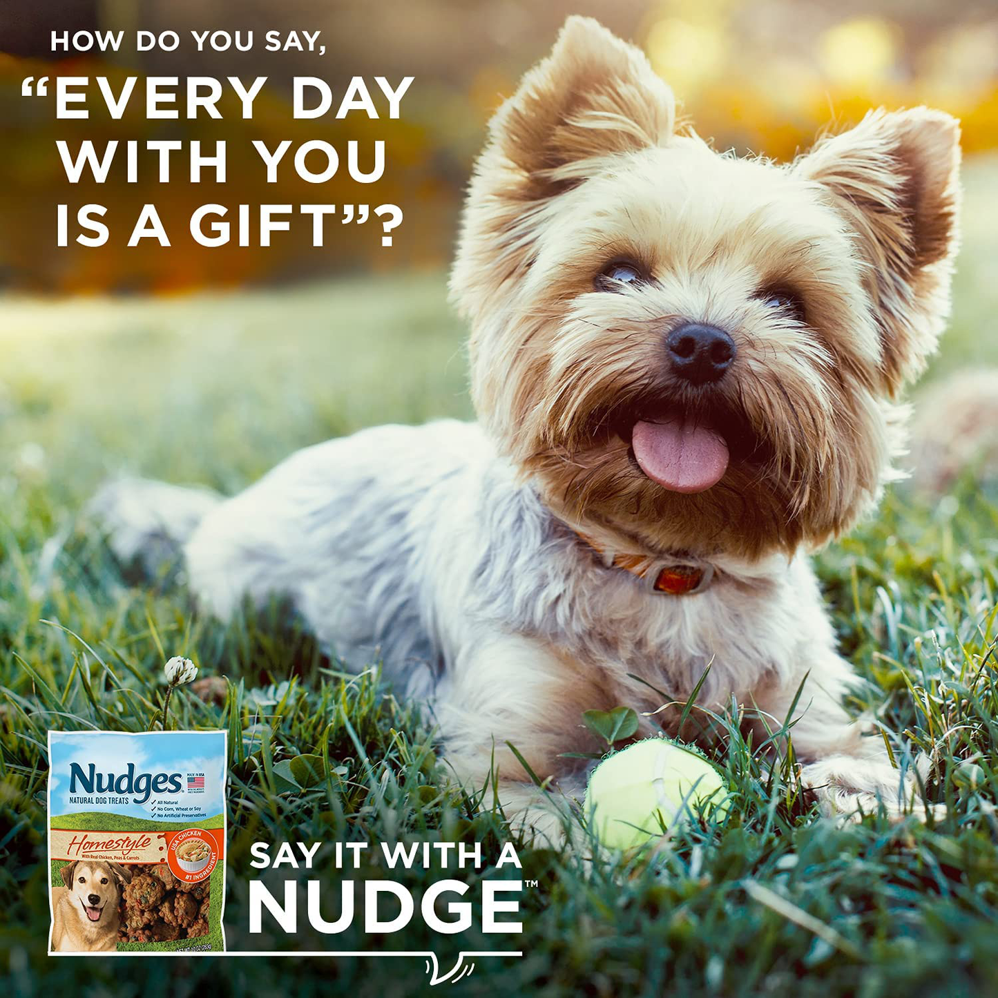 Nudges Homestyle Chicken Pot Pie Dog Treats Animals & Pet Supplies > Pet Supplies > Small Animal Supplies > Small Animal Treats Nudges   