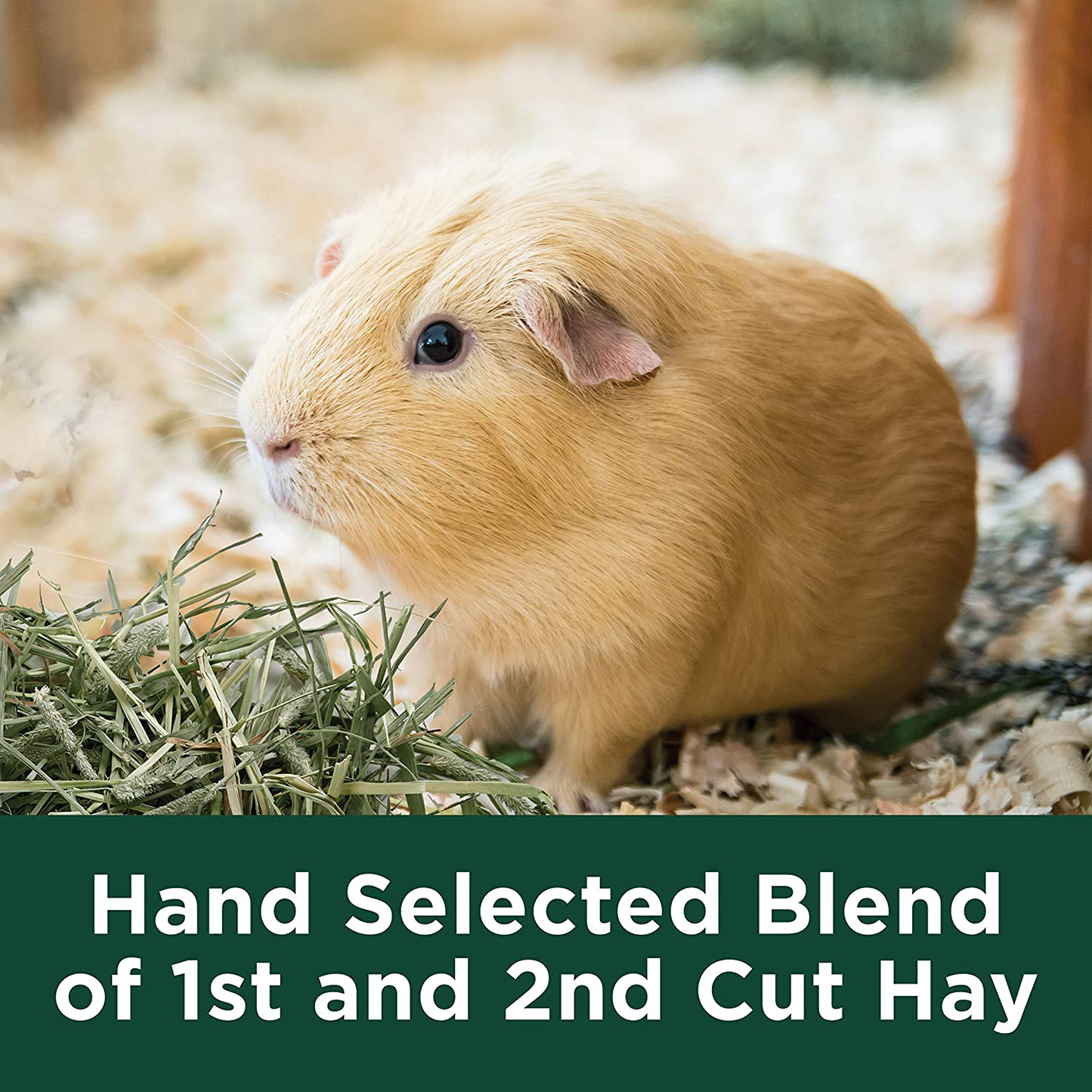 Kaytee All Natural Timothy Hay for Small Animal Pets Animals & Pet Supplies > Pet Supplies > Small Animal Supplies > Small Animal Bedding Kaytee   