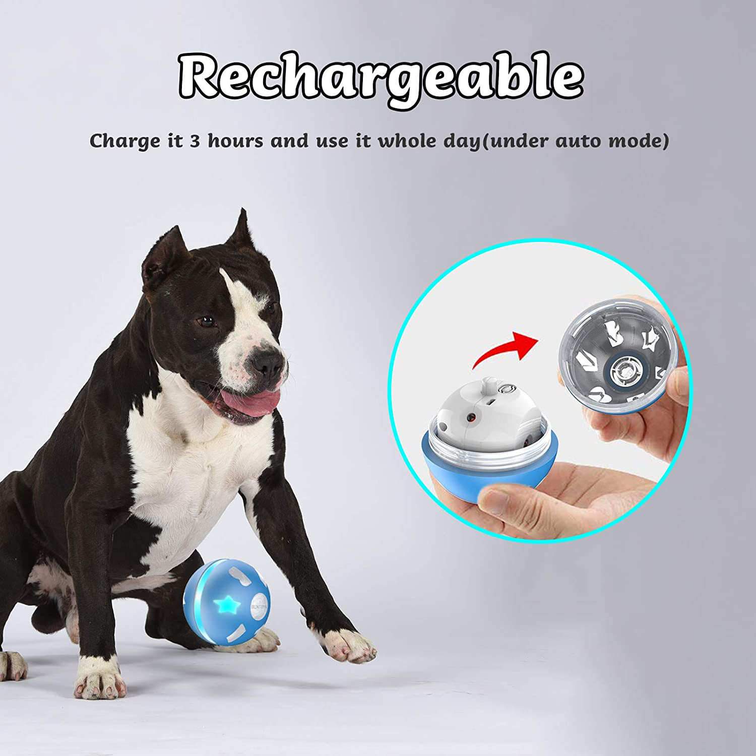 BENTOPAL Interactive Dog Toy Wicked Ball for Indoor Cats/Dogs with Motion Activated/Usb Rechargeable Animals & Pet Supplies > Pet Supplies > Cat Supplies > Cat Toys BENTOPAL   