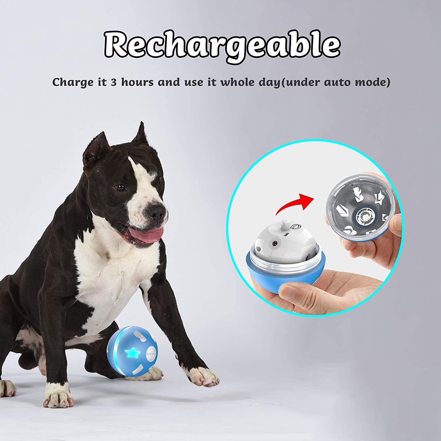 Bentopal Interactive Dog Toy Wicked