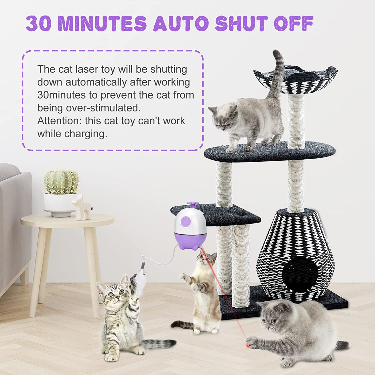 APPLYSU Interactive Cat Toys for Indoor Cats, 2 in 1 Laser Cat Toy and Cat Feather Toys, 360° Rotating Shutdown Automatic Cat Toy with Many Replacement Accessories for Kitten Animals & Pet Supplies > Pet Supplies > Cat Supplies > Cat Toys APPLYSU   