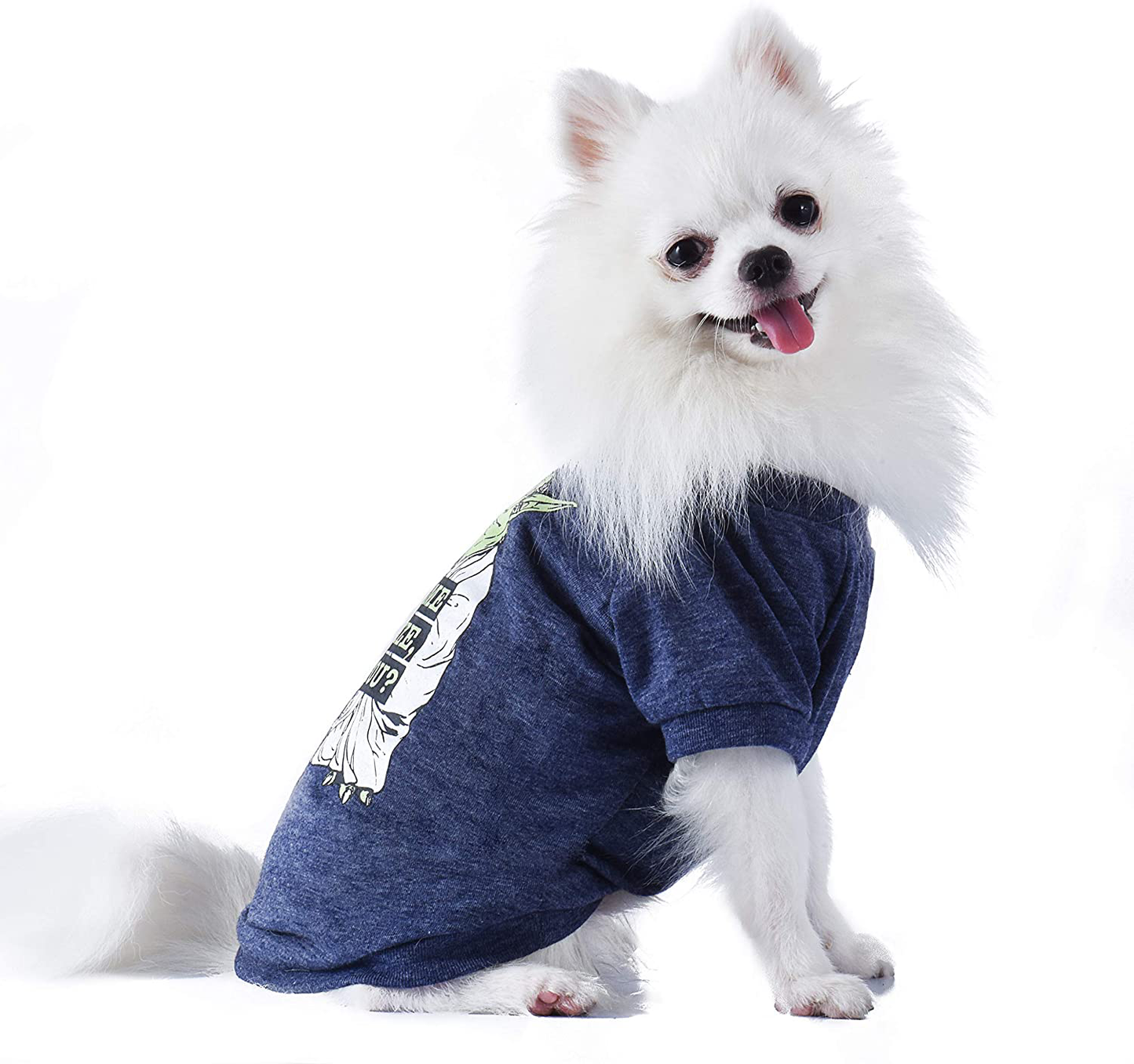 Star Wars for Pets Yoda Dog Tee - Star Wars for Pets Yoda Shirt for Dogs - Star Wars Dog Costume, Dog Clothes, Star Wars Dog Shirt, Star Wars Pet Shirt, Pet Clothes, Yoda Pet Shirt Animals & Pet Supplies > Pet Supplies > Cat Supplies > Cat Apparel Fetch for Pets   