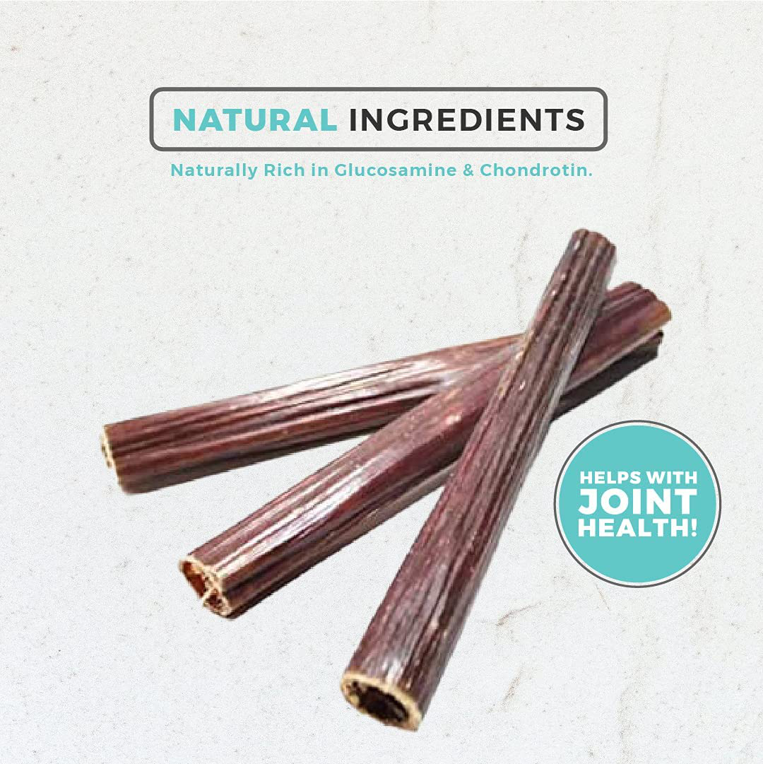 Dog Nip! 6" Taffy Sticks - Gullet Sticks -Esophagus Sticks (1 Pound) (Approx. 35-45 Pieces) Naturally Rich in Glucosamine and Chondroitin - Joint Health - Grass Fed Beef Animals & Pet Supplies > Pet Supplies > Small Animal Supplies > Small Animal Treats Dog Nip!   