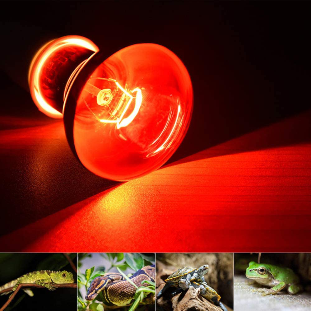 Pet Supplies 100W Infrared Heating Lamp 2 Pack, 110V E27 Basking Spot Light Bulbs for Reptile and Amphibian, as Bearded Dragons, Turtles, Ball Pythons, Red