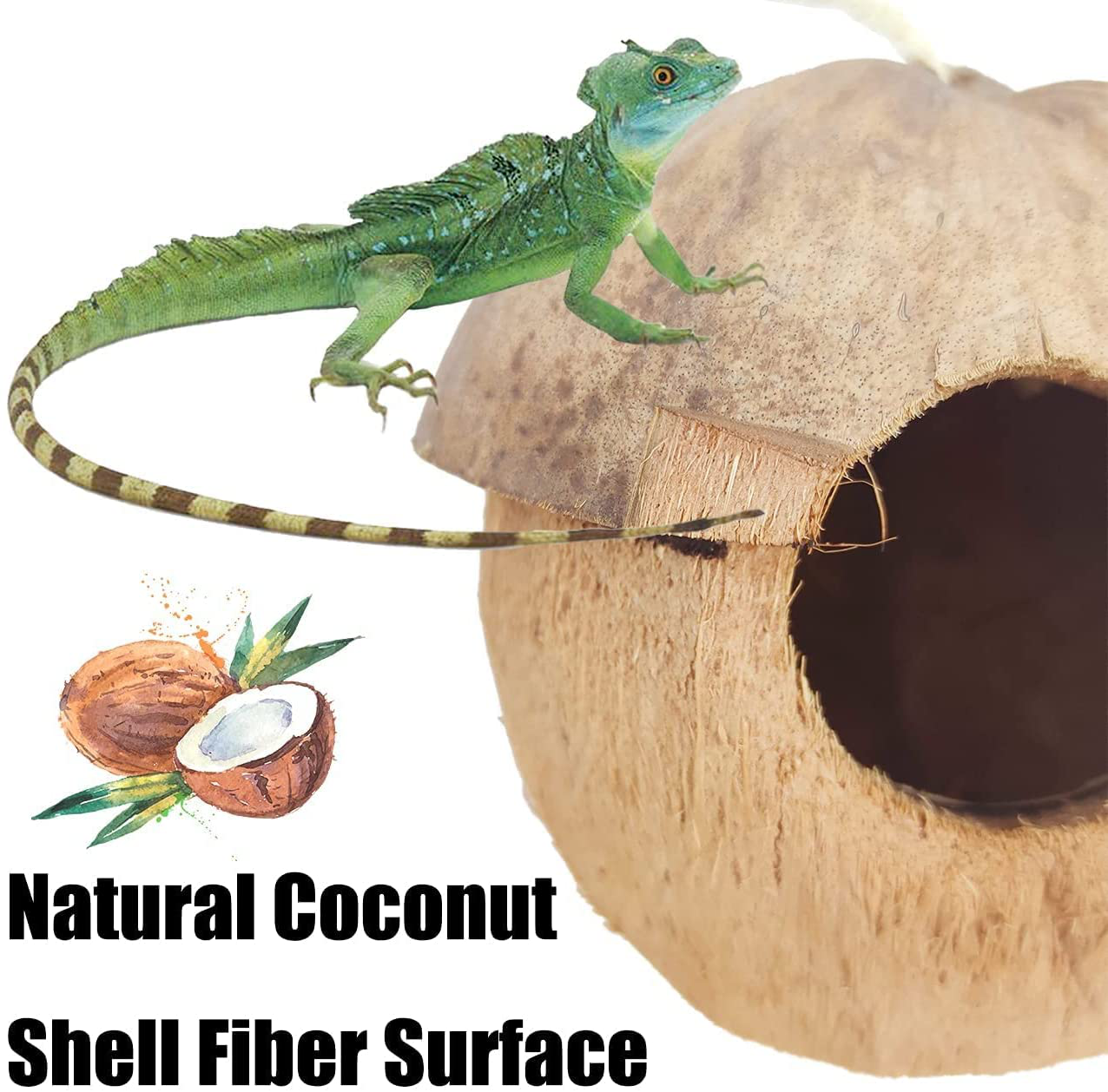 PINVNBY Reptile Coconut Hideout Lizard Coconut Hut Reptile Habitat Decoration with Artificial Bendable Vines Green Plants and Leaves Gecko Tank Accessories for Chameleon Bearded Dragons Snakes Animals & Pet Supplies > Pet Supplies > Reptile & Amphibian Supplies > Reptile & Amphibian Habitat Accessories PINVNBY   