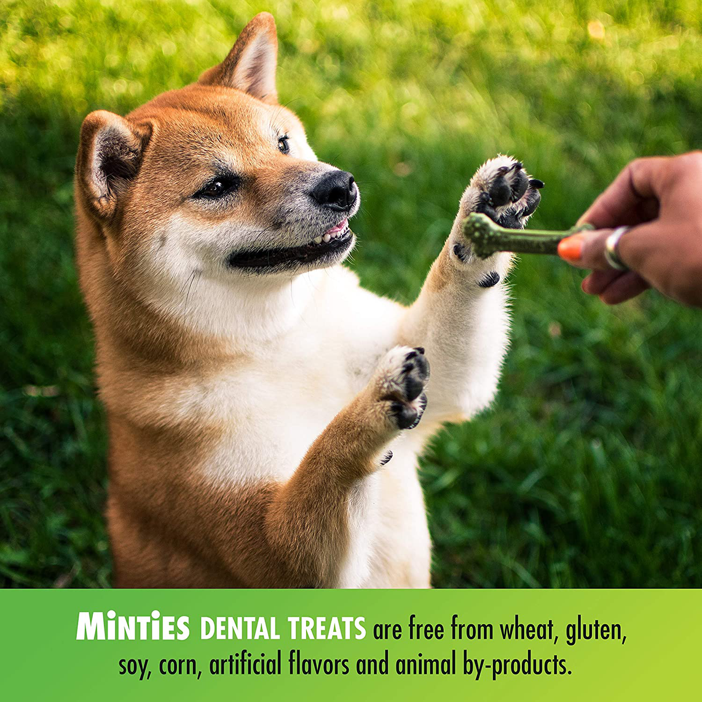 Minties Vetiq Dog Dental Bone Treats, Dental Chews for Dogs, (Perfect for Medium/Large Dogs over 40 Lbs) Animals & Pet Supplies > Pet Supplies > Dog Supplies > Dog Treats Minties   