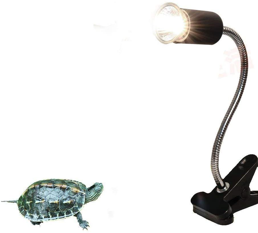 Flexible Clamp Lamp Fixture for Reptiles. Terrarium Habitat Lighting & Heat Lamp Holder Stand，Uva UVB Light Bulb Reptile Ceramic Heat Lamp Pet Heating Bulb Holder，Clamp Lamp Fixture Adjustable （Black） Animals & Pet Supplies > Pet Supplies > Reptile & Amphibian Supplies > Reptile & Amphibian Habitat Heating & Lighting HoneyCare   