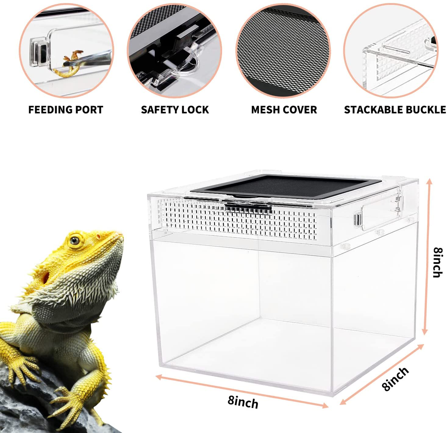 Reptile Growth Reptile Terrarium, 8" X 8"X 8" Mini Reptile Tank with Full View Visually Appealing,Crystal Explosion Proof PC Reptile Habitat Cages for Reptiles and Amphibians Animals & Pet Supplies > Pet Supplies > Reptile & Amphibian Supplies > Reptile & Amphibian Habitats Reptile Growth   