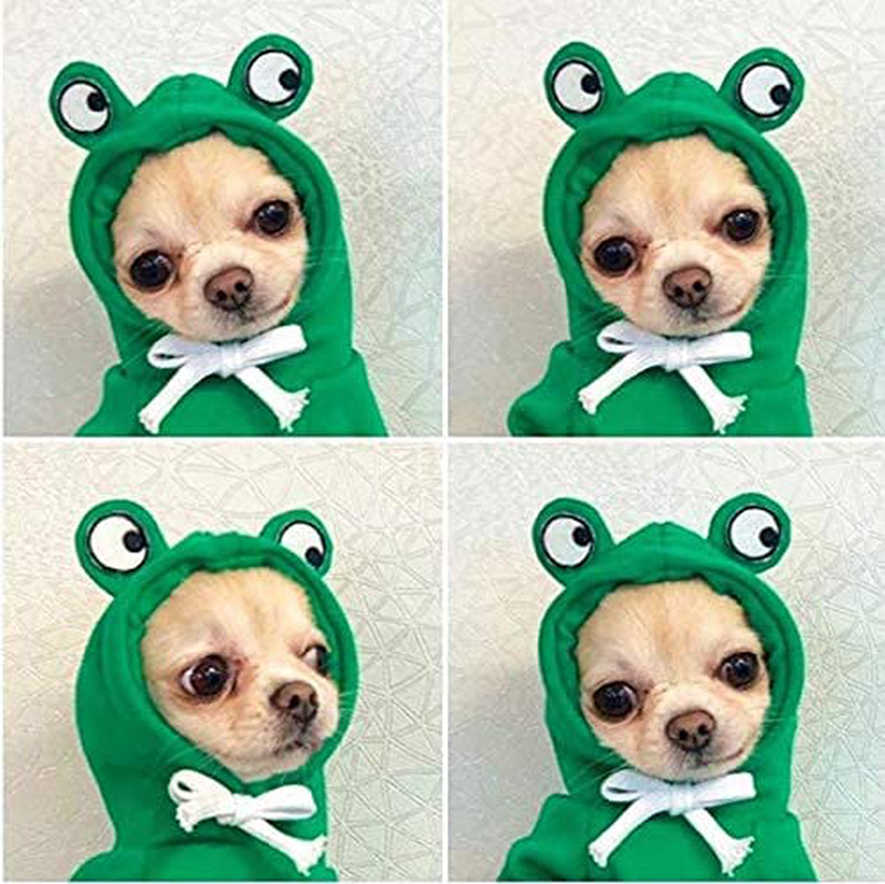 Dog Hoodie- Dog Basic Sweater Coat Cute Frog Shape Warm Jacket Pet Cold Weather Clothes Outfit Outerwear for Cats Puppy Small Largr Dogs Animals & Pet Supplies > Pet Supplies > Cat Supplies > Cat Apparel MJEMS   