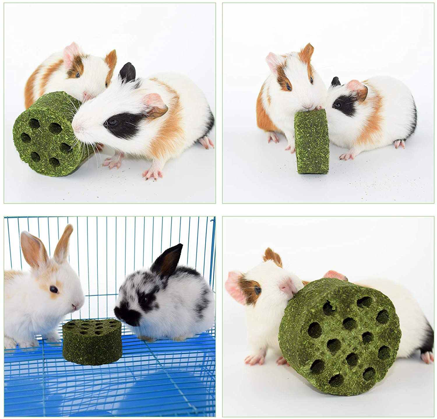 DMUUGURL Natural Timothy Grass Molar Stick Chew Toys, Alfalfa Grass Hay Grass Cakes for Rabbits, Chinchillas, Guinea Pigs, Hamsters, Squirrel and Other Small Animals Treats Animals & Pet Supplies > Pet Supplies > Small Animal Supplies > Small Animal Treats DMUUGURL   