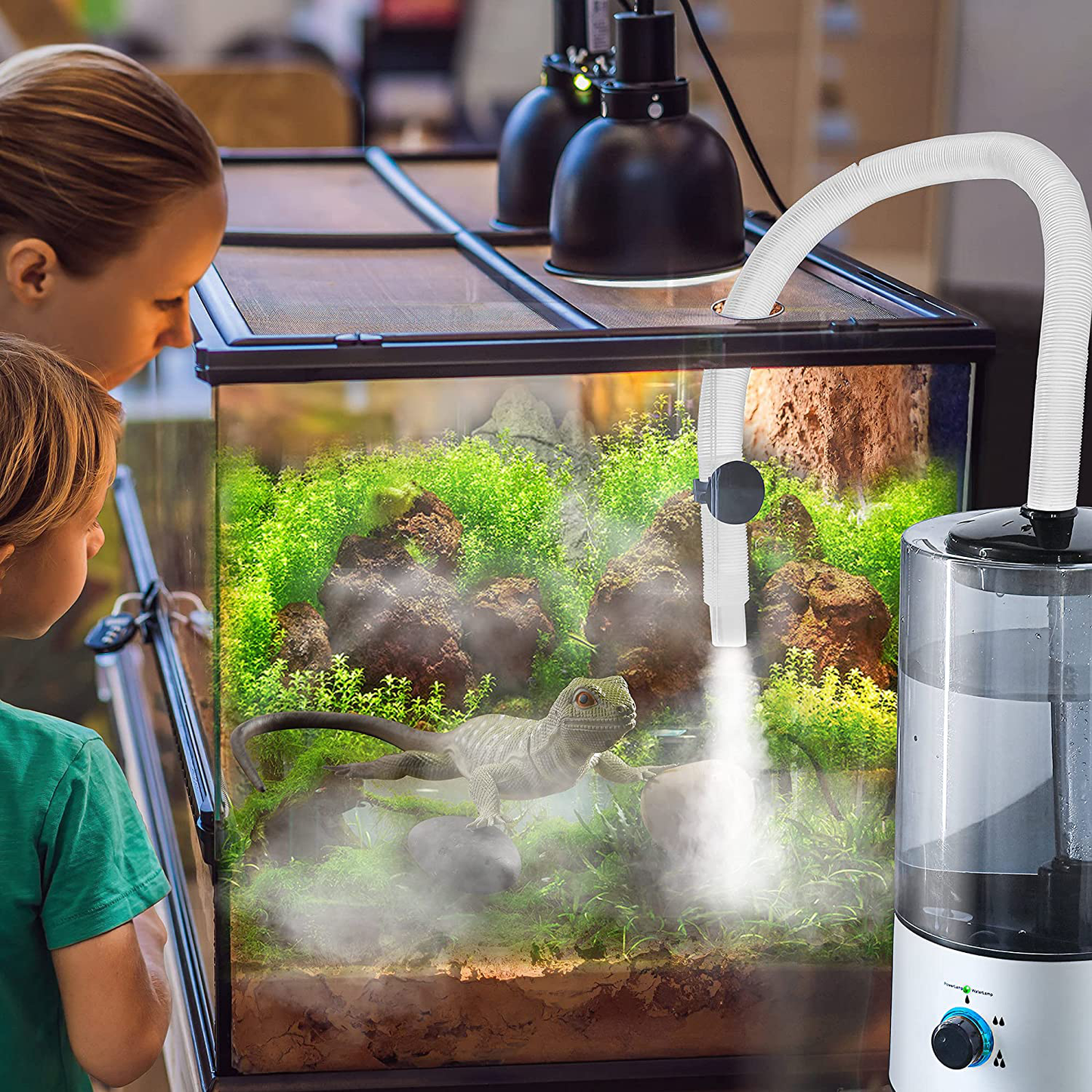Dreyoo Reptile Humidifier Fogger, 4L Cool Mist Fog Mister with Tube for Tortoise Habitat Chameleon Snake Amphibians, Compatible with All Terrariums, Cages and Enclosures Animals & Pet Supplies > Pet Supplies > Reptile & Amphibian Supplies > Reptile & Amphibian Habitats Dreyoo   