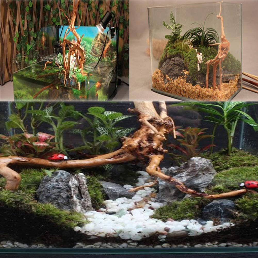 Tfwadmx Natural Driftwood for Aquarium, 4 Pcs Wood Aquarium Decorations Fish Tank Log Reptile Tree Branches Animals & Pet Supplies > Pet Supplies > Fish Supplies > Aquarium Decor Tfwadmx   