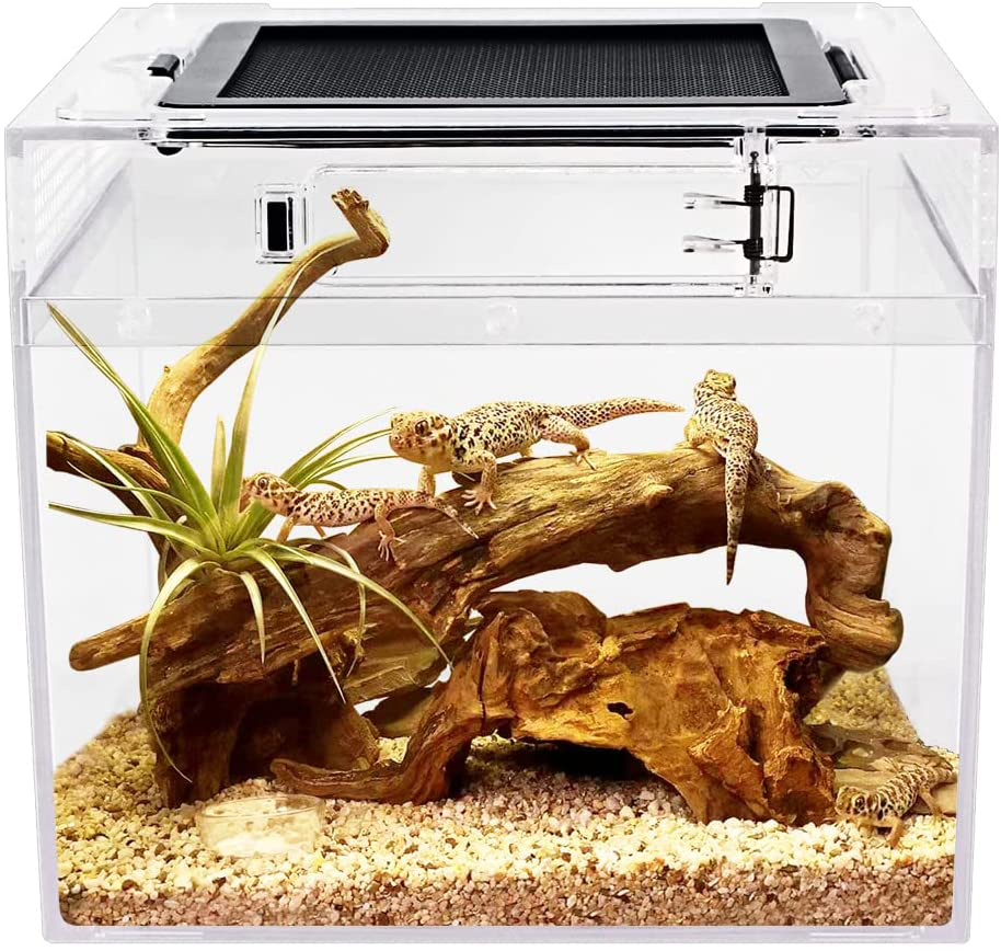 Reptile terrariums deals
