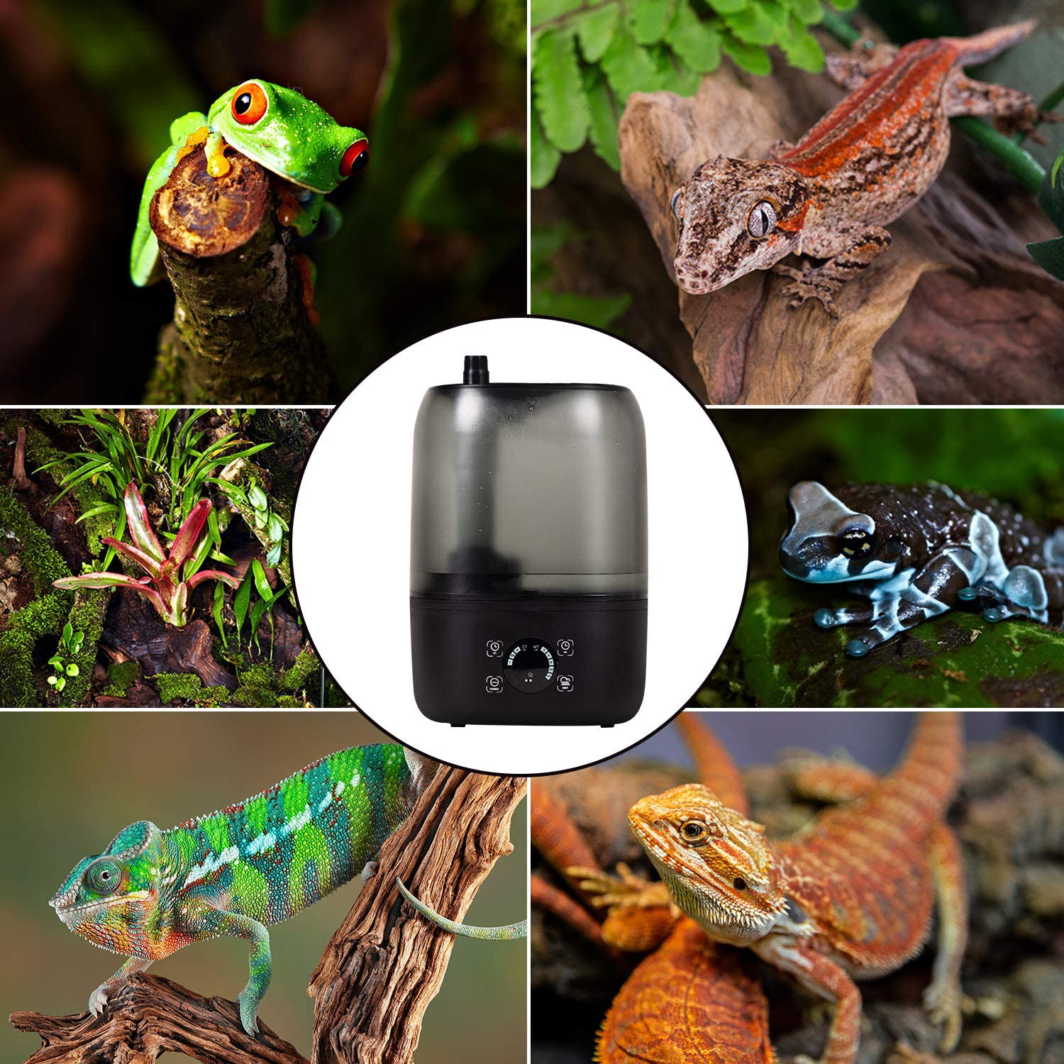 REPTI ZOO 4L Reptile Fogger Mister Tank Reptile Terrariums Humidifier Digital Tank Timing Terrarium Humidifier Smart Touch Screen Adjustable Fogger for Reptiles Amphibians Herps Animals & Pet Supplies > Pet Supplies > Reptile & Amphibian Supplies > Reptile & Amphibian Habitats REPTI ZOO   