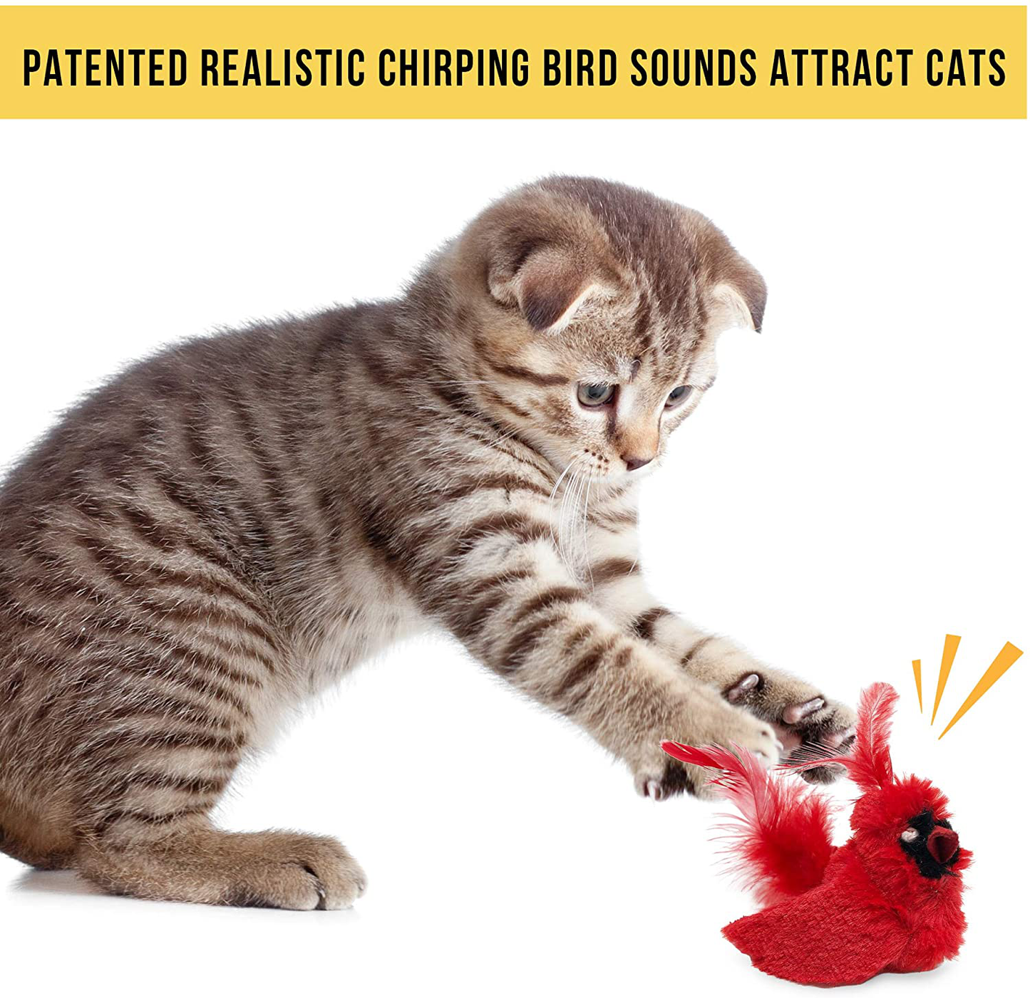 Ourpets Play-N-Squeak Real Birds Cat Toys (Cat Toys for Indoor Cats, Catnip Toys, Catnip Toys for Cats with Real Chirping Bird Electronic Sound) [Interactive Cat Toys for Indoor Cats with Catnip] Animals & Pet Supplies > Pet Supplies > Cat Supplies > Cat Toys Our Pets   