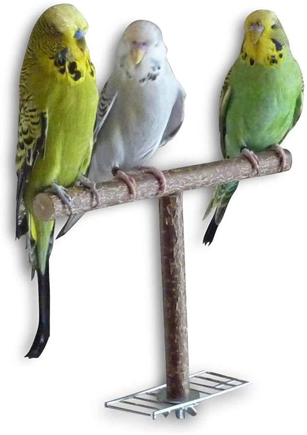 NEISHUI Bird Stand Tabletop,Portable Tee Stand, Parrot Play Stand Perch Gym for Small Medium Parrot Animals & Pet Supplies > Pet Supplies > Bird Supplies > Bird Gyms & Playstands NEISHUI   