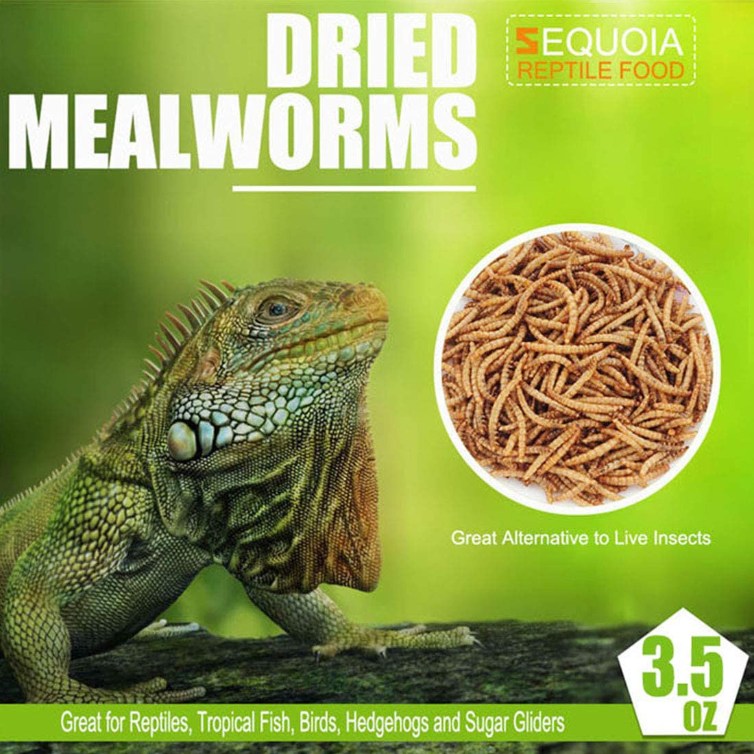 Reptile Food Dried Mealworms Pet Worms Food for Bearded Dragon, Lizard, Turtles, Chameleon, Monitor, Frog, Sugar Glider, Chickens, Ducks, Wild Birds, Fish, Hamsters and Hedgehogs Animals & Pet Supplies > Pet Supplies > Reptile & Amphibian Supplies > Reptile & Amphibian Food Sequoia   