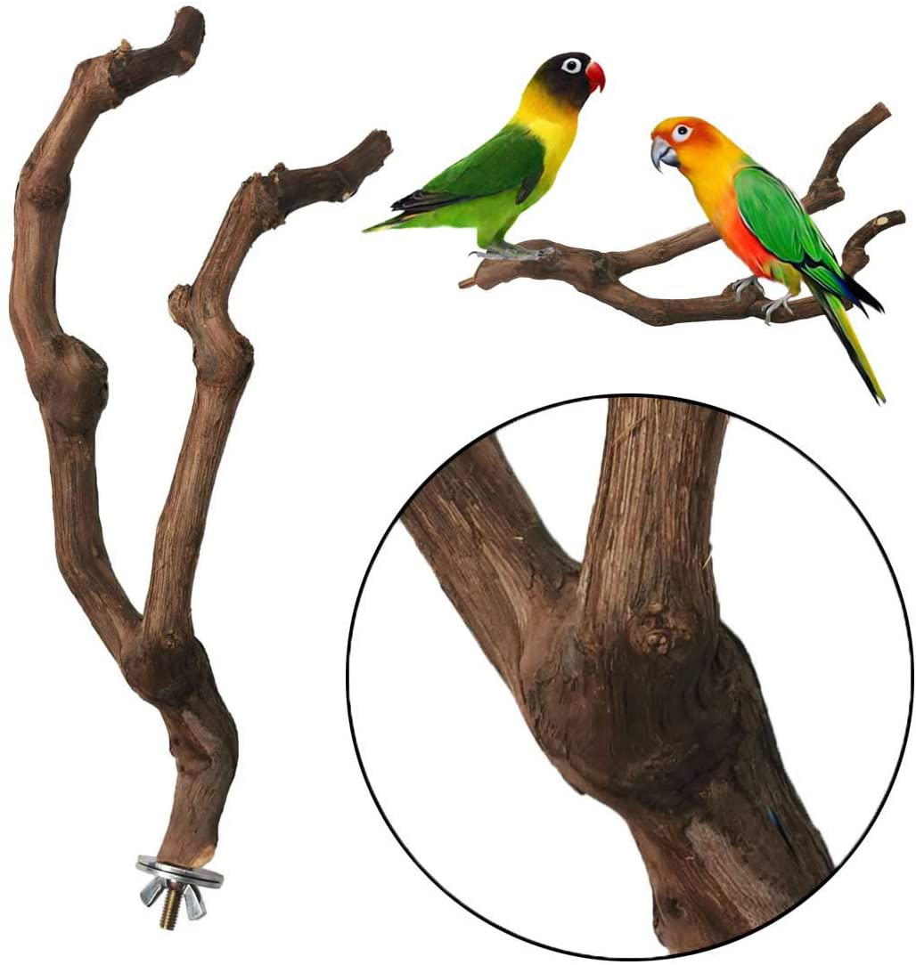 Kathson Natural Parrot Perch Bird Stand Pole Wild Grape Stick Paw Grinding Fork Parakeet Climbing Standing Branches Toy Chewable Cage Accessories for Small Budgies Cockatiels Lovebirds Animals & Pet Supplies > Pet Supplies > Bird Supplies > Bird Cage Accessories kathson   