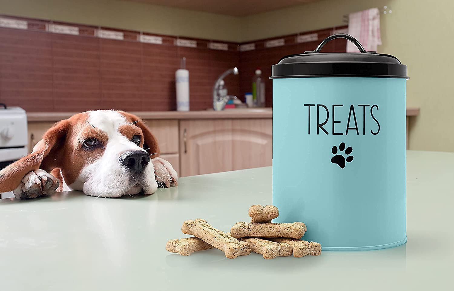 JRW Design Dog and Cat Treat Container plus 2 Bone-Shaped Cookie Cutters - Farmhouse Dog Treat Holder Jar - Durable Dog Biscuit Tin Canister, Great Gift for Pet Owners - Stylish Dog Treat Jar Animals & Pet Supplies > Pet Supplies > Small Animal Supplies > Small Animal Treats JRW Design   