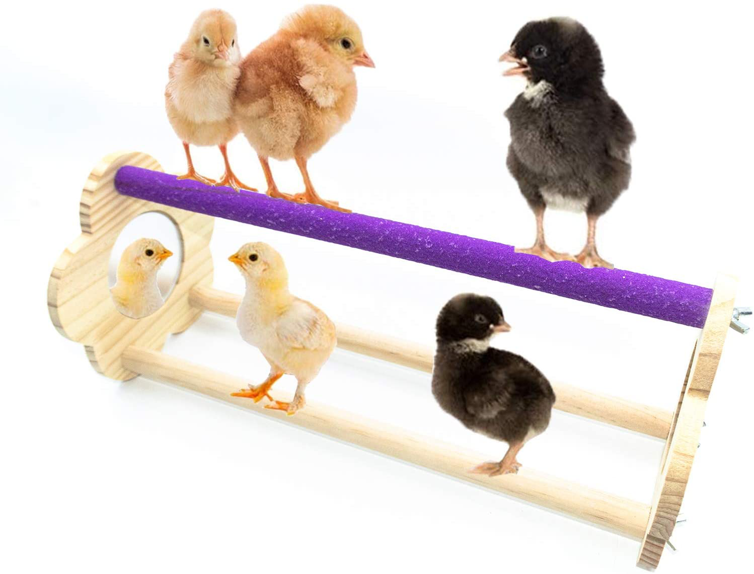 Nynelly Chicken Coop Toy,Chicken Toys,Natural Wood Chicken Ladder,Chicken Swing,Chicken Perch Stand for Birds Poultry Rooster Chicks Animals & Pet Supplies > Pet Supplies > Bird Supplies > Bird Ladders & Perches Nynelly Chicks Perch-Purple  