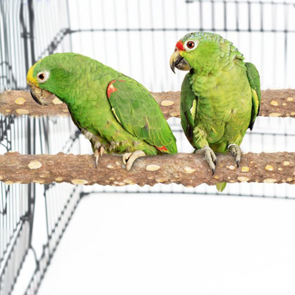 PINVNBY Bird Perch Nature Wood Prickly Parrot Stand Toy Branch Platform Paw Grinding Stick for Small Medium Birds Cockatiel Parakeet Conure Cage Accessory Pack of 3 Animals & Pet Supplies > Pet Supplies > Bird Supplies > Bird Cages & Stands PINVNBY   