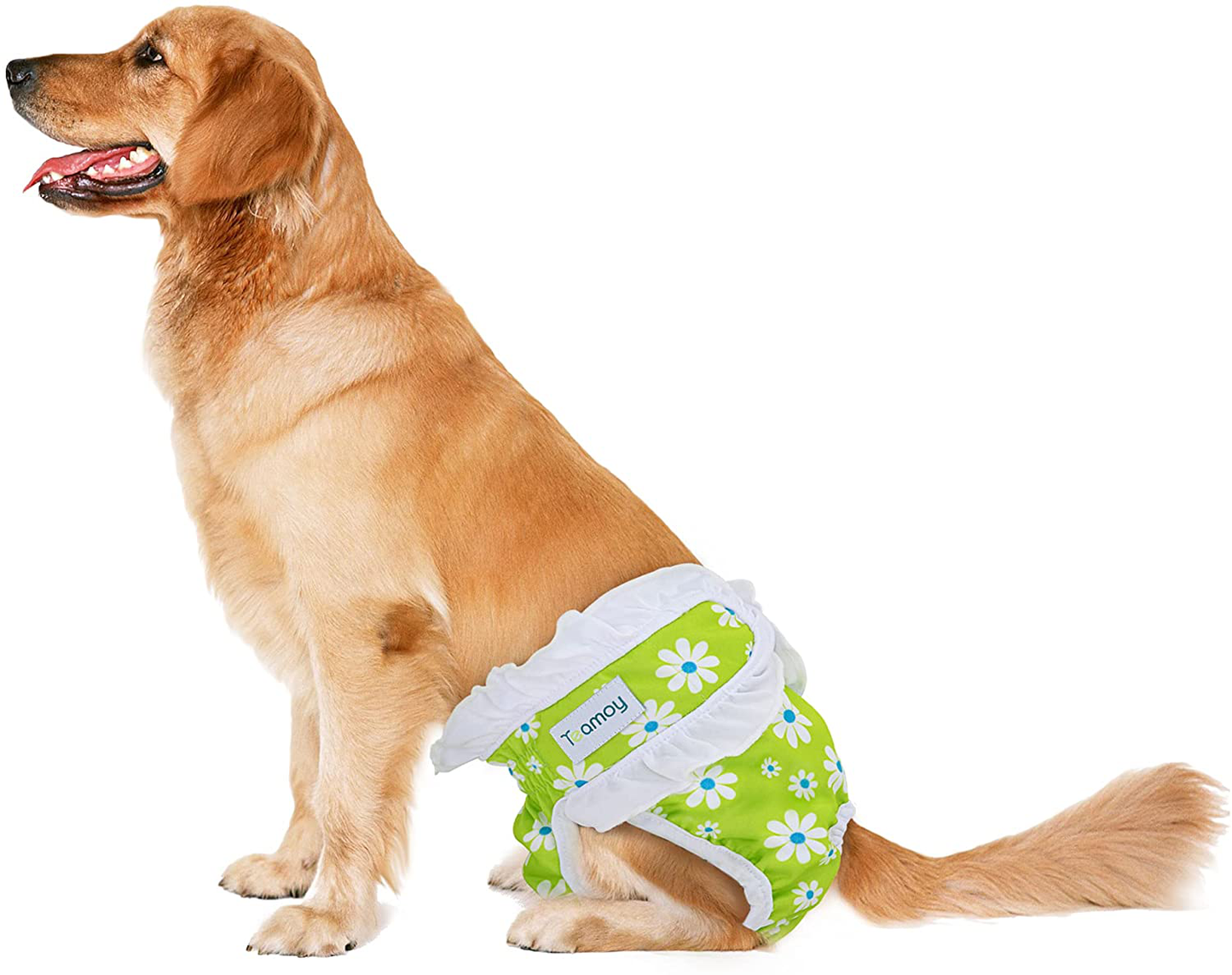 Teamoy Washable Female Dog Diapers(Pack of 4), Reusable Dog Incontinence Panties for Girl Dog in Period Heat