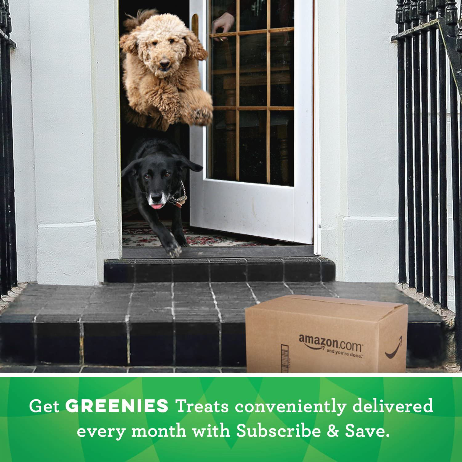 Greenies Original Regular Natural Dental Dog Treats (25-50Lb. Dogs) Animals & Pet Supplies > Pet Supplies > Small Animal Supplies > Small Animal Treats Greenies   