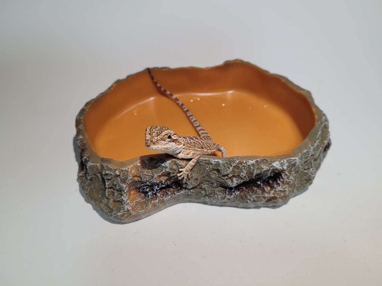 Runxf Simulation Rock Reptile Feeding Bowls Resin Feeder Lizard Toad Tortoise Hedgehog Habitat Accessories Terrarium Tank Ornament Water Food Dish,5.5 X 3.7 X 1.2Inches (Medium) Animals & Pet Supplies > Pet Supplies > Reptile & Amphibian Supplies > Reptile & Amphibian Substrates RunXF   