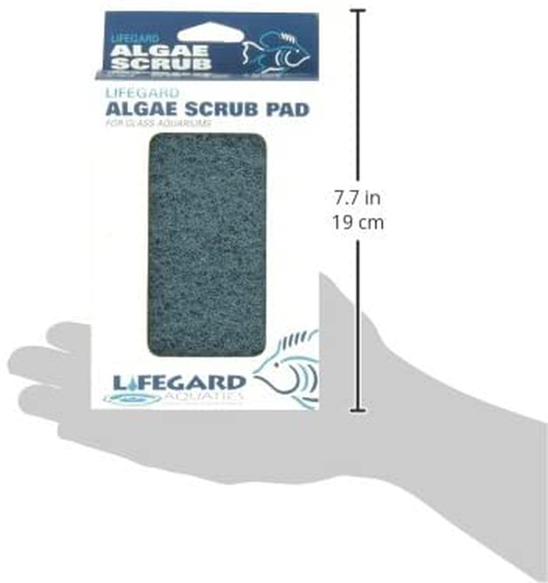 Lifegard Aquatics 4-Inch by 6-Inch Blue Algae Pad Animals & Pet Supplies > Pet Supplies > Fish Supplies > Aquarium Cleaning Supplies Lifegard   