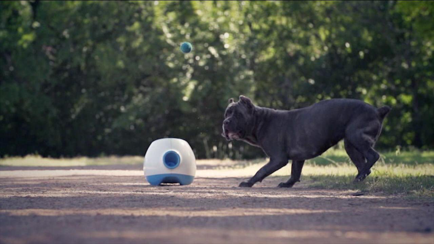 Ifetch Interactive Ball Launchers for Dogs