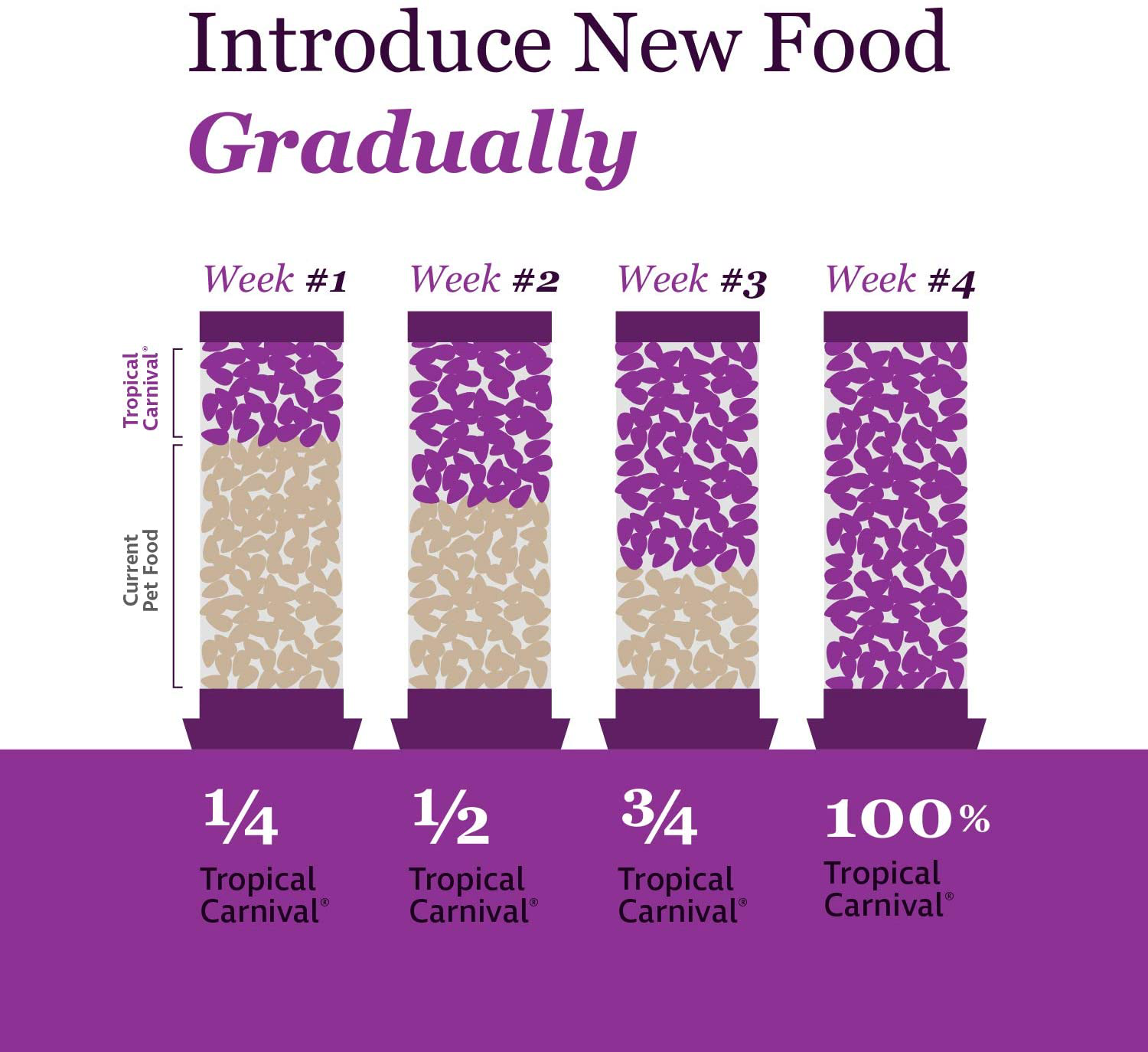 F.M. Brown'S Tropical Carnival Natural Chinchilla Food, 3-Lb Bag - Vitamin-Nutrient Fortified Daily Diet with High Fiber Alfalfa and Timothy Hay Pellets for Optimum Digestion Animals & Pet Supplies > Pet Supplies > Small Animal Supplies > Small Animal Food Tropical Carnival   