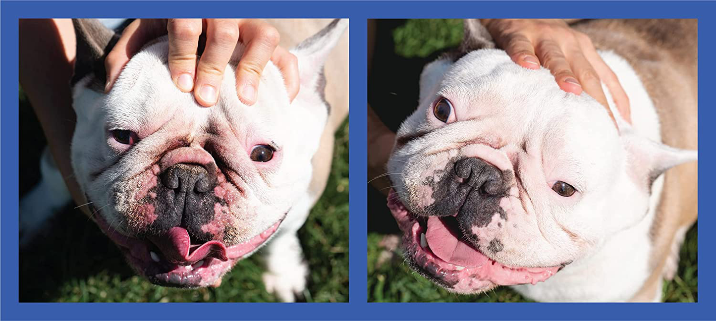 Squishface Wrinkle Paste - Bulldog, French Bulldog, Pug, English Bulldog – Cleans Wrinkles, Tear Stain, Tail Pockets, and Paws – Anti-Itch Tear Stain Remover & Bulldog Wrinkle Cream, 2 Oz. Animals & Pet Supplies > Pet Supplies > Small Animal Supplies > Small Animal Treats Squishface   