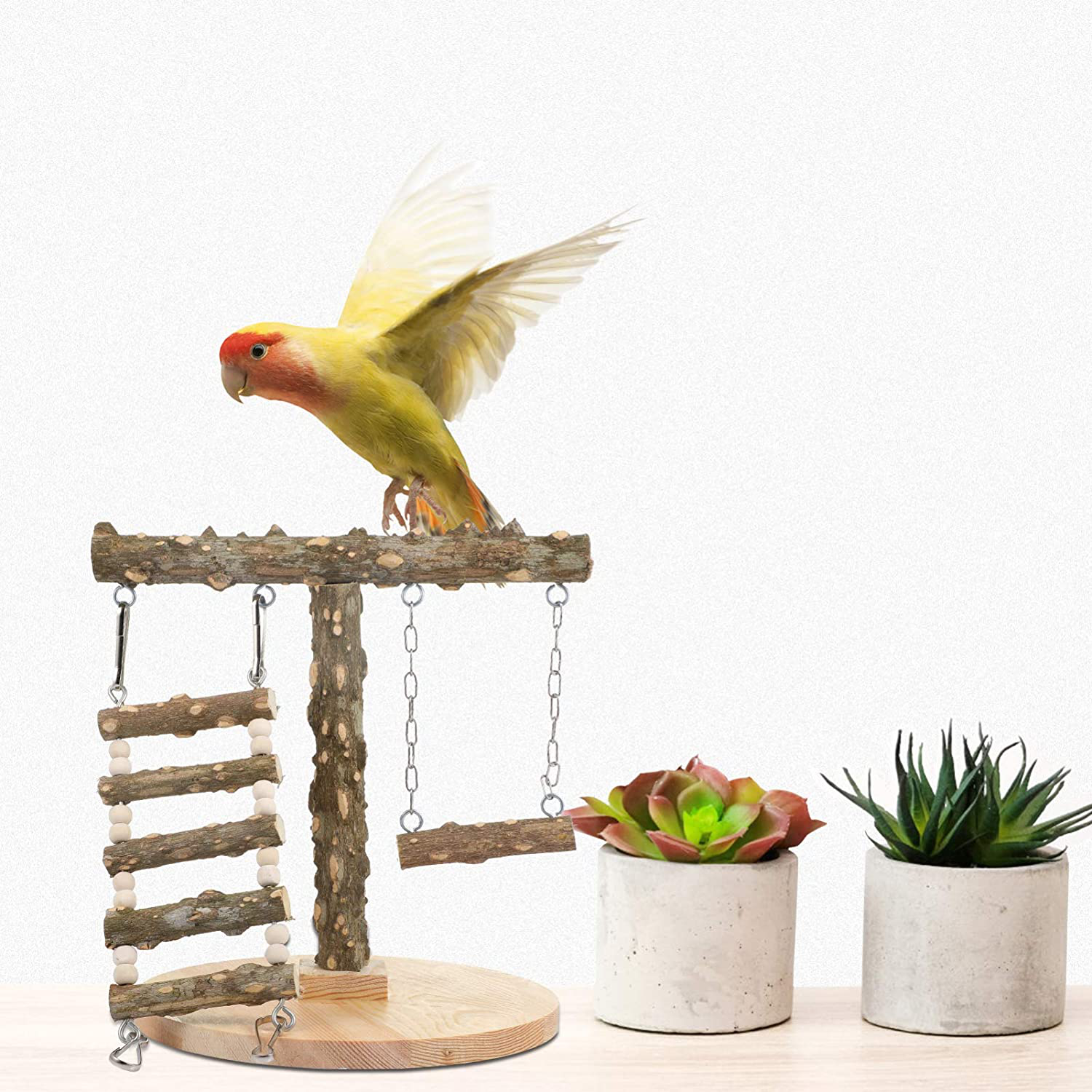 Balacoo Pet Play Stand for Birds-Parrot Playstand Bird Play Stand Wood Perch Gym Playpen Ladder Exercise Play Animals & Pet Supplies > Pet Supplies > Bird Supplies > Bird Gyms & Playstands balacoo   