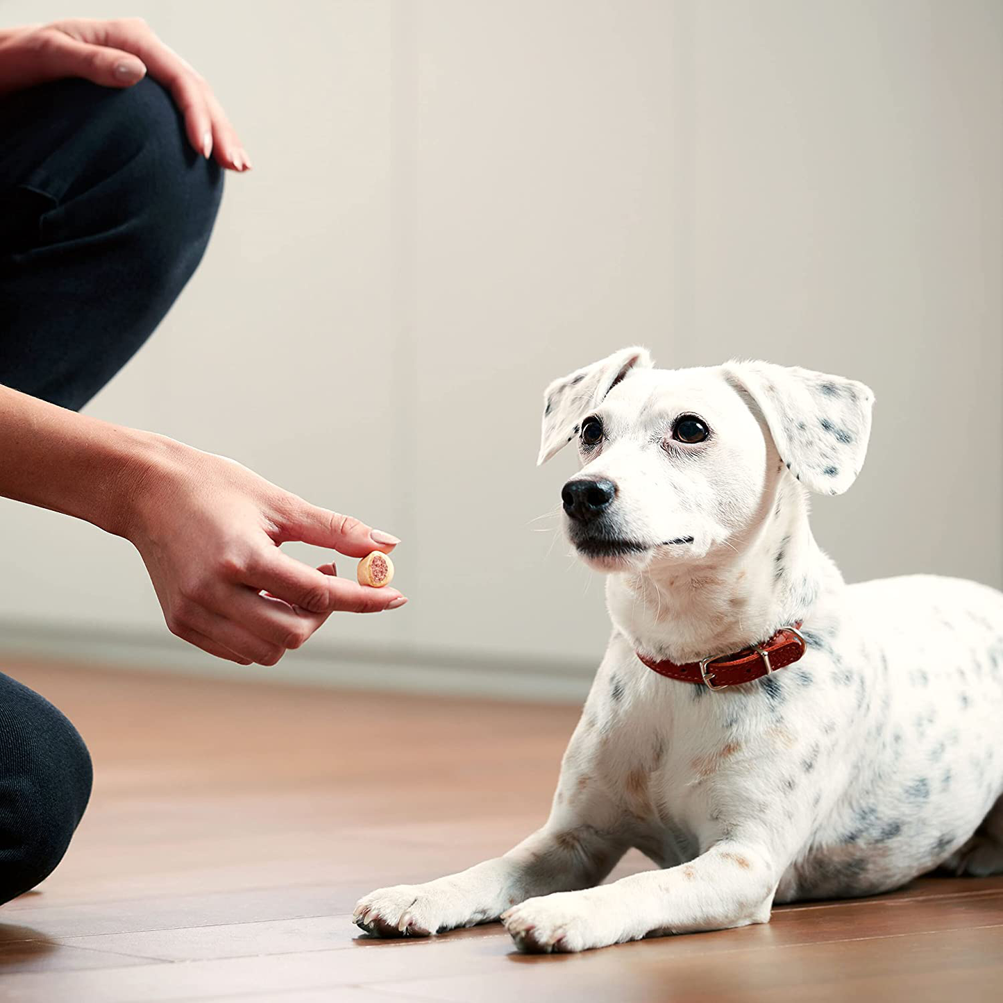 Milk-Bone Marosnacks Dog Treats with Real Bone Marrow and Calcium Animals & Pet Supplies > Pet Supplies > Dog Supplies > Dog Treats Milk-Bone   