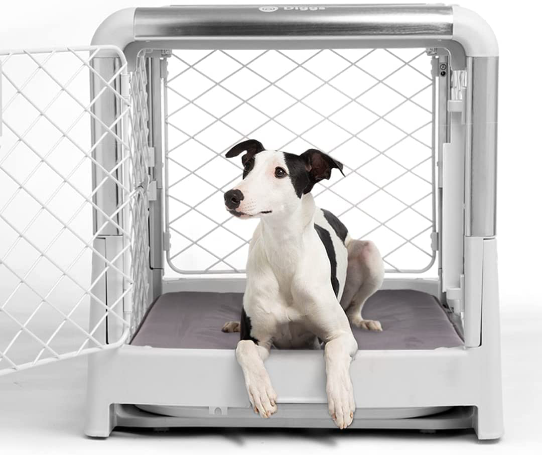 Diggs Revol Dog Crate (Collapsible Dog Crate, Portable Dog Crate, Travel Dog Crate, Dog Kennel) for Small and Medium Dogs and Puppies