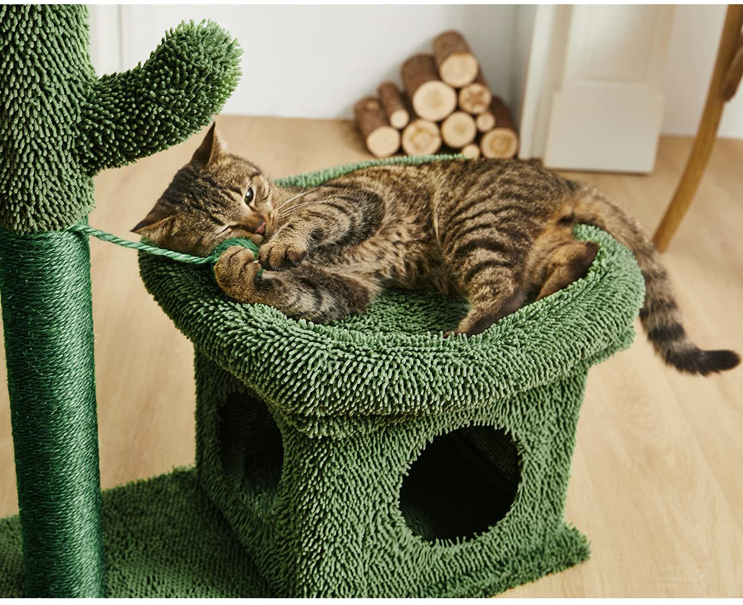 Catinsider 2 in 1 Cat Scratching Post Kitty Condo with Dangling Ball for Small Cats Green