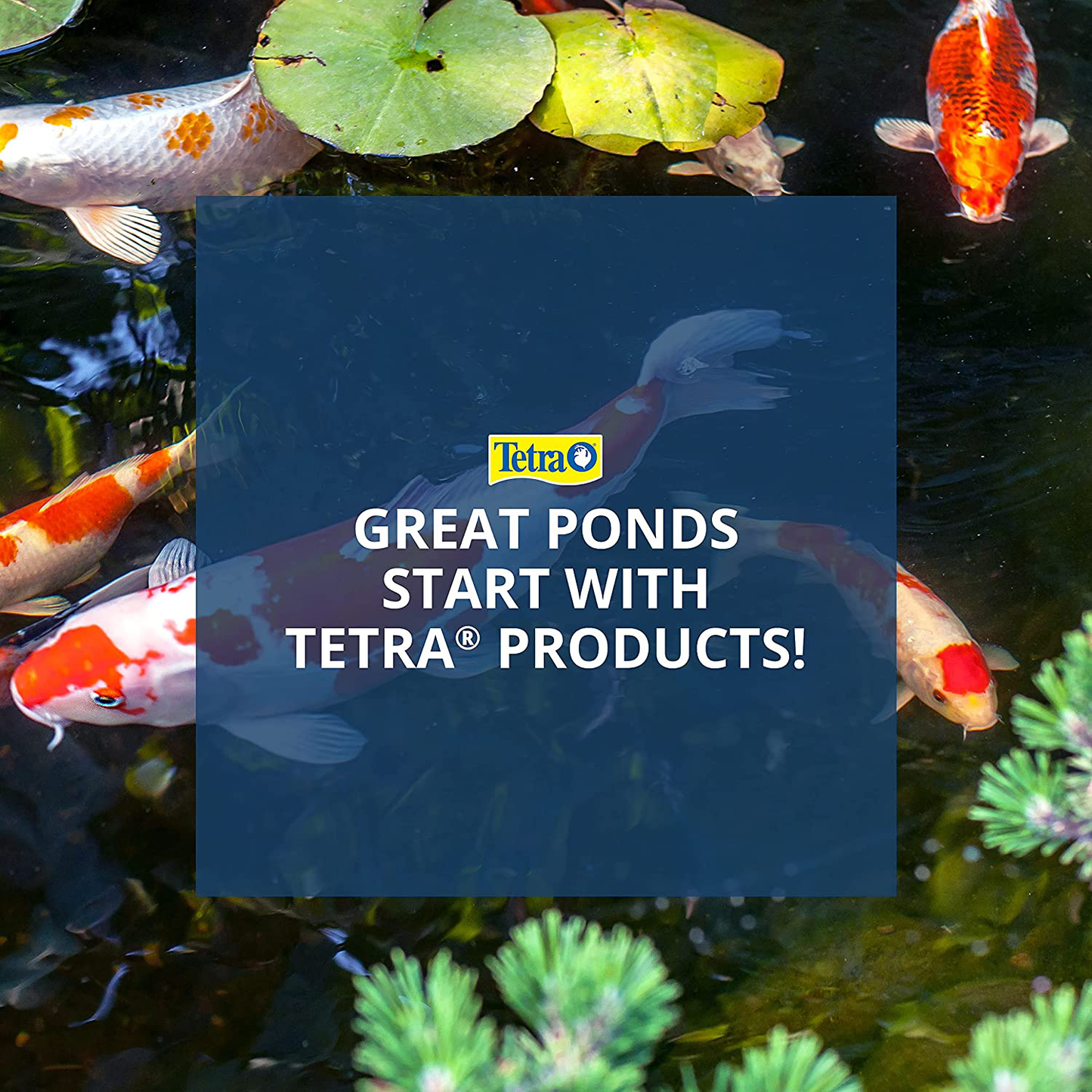 Tetra Pond Greenfree UV Clarifier, for Clean and Clear Ponds, up to 8800-Gallons, (19522)