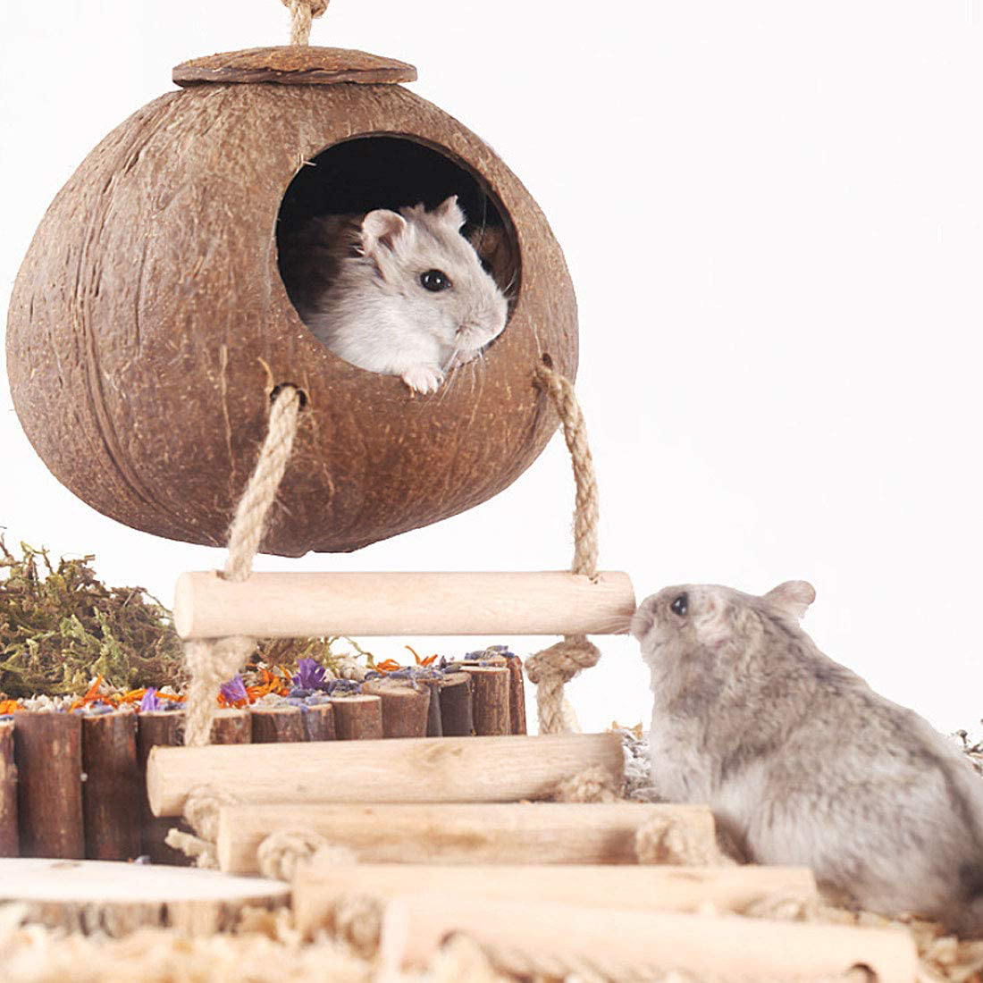 PINVNBY Natural Coconut Hut Hamster Hiding House Pet Cave Small Animal Cage Habitat Decor Hanging Guinea Pig Toys with Ladder for Gerbils Mice Rats Playing Breeding 3PCS Animals & Pet Supplies > Pet Supplies > Small Animal Supplies > Small Animal Habitats & Cages PINVNBY   