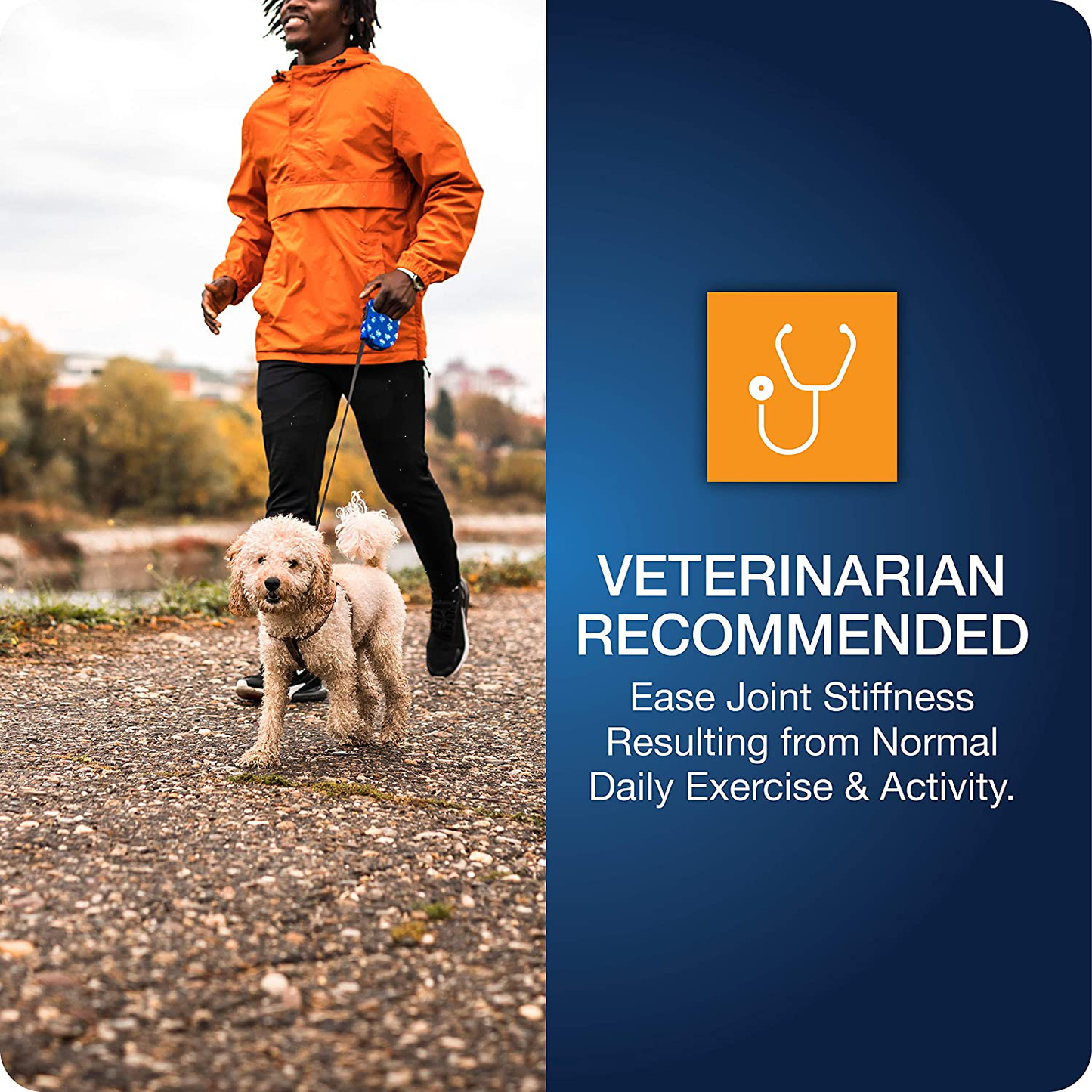 VETIQ Vet Recommended Hip and Joint Supplement for Dogs, Chicken Flavored Soft Chews Animals & Pet Supplies > Pet Supplies > Small Animal Supplies > Small Animal Treats VetIQ   