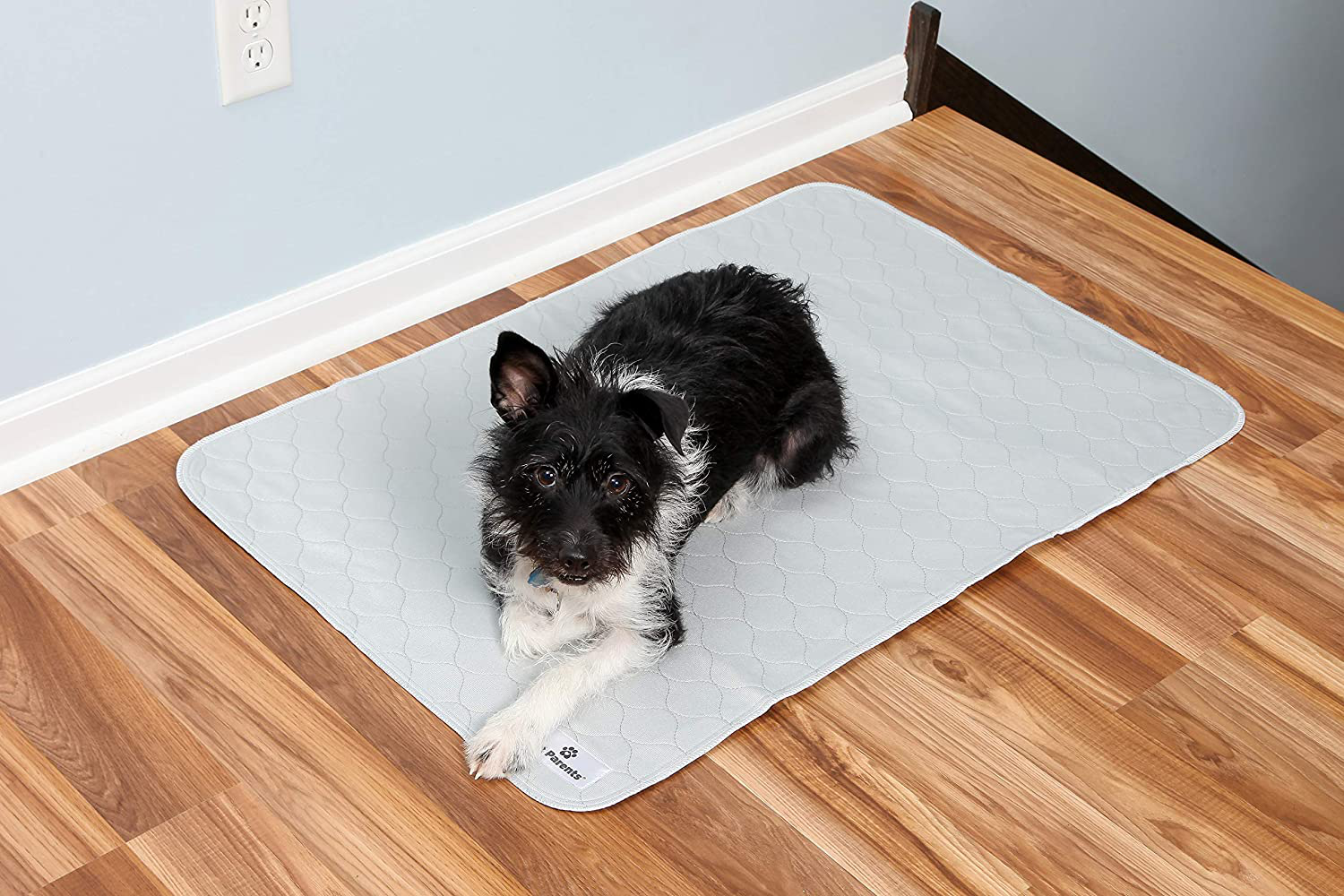 Pet Parents Pawtect Pads Washable Dog Pee Pads (2Pack) of Premium Pee Pads for Dogs, Waterproof Training Pads for Dogs & Reusable Dog Pee Pads! Whelping Pads & Modern Puppy Pads! Animals & Pet Supplies > Pet Supplies > Dog Supplies > Dog Diaper Pads & Liners Pet Parents   