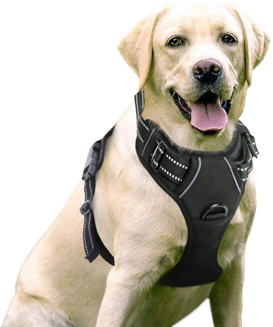 Rabbitgoo Dog Harness, No-Pull Pet Harness with 2 Leash Clips, Adjustable Soft Padded Dog Vest, Reflective No-Choke Pet Oxford Vest with Easy Control Handle for Large Dogs, Black, L Animals & Pet Supplies > Pet Supplies > Dog Supplies > Dog Treadmills rabbitgoo   