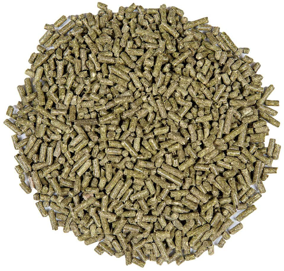 Small Pet Select-Premium Guinea Pig Pellet Food, Non-Gmo, Soy Free. Local Ingredients in Pacific Northwest Animals & Pet Supplies > Pet Supplies > Small Animal Supplies > Small Animal Food Small Pet Select   