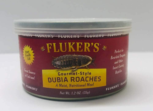 Fluker'S Gourmet-Style Canned Reptile Food Dubia Roaches 1.2 Oz Animals & Pet Supplies > Pet Supplies > Reptile & Amphibian Supplies > Reptile & Amphibian Food Fluker's   