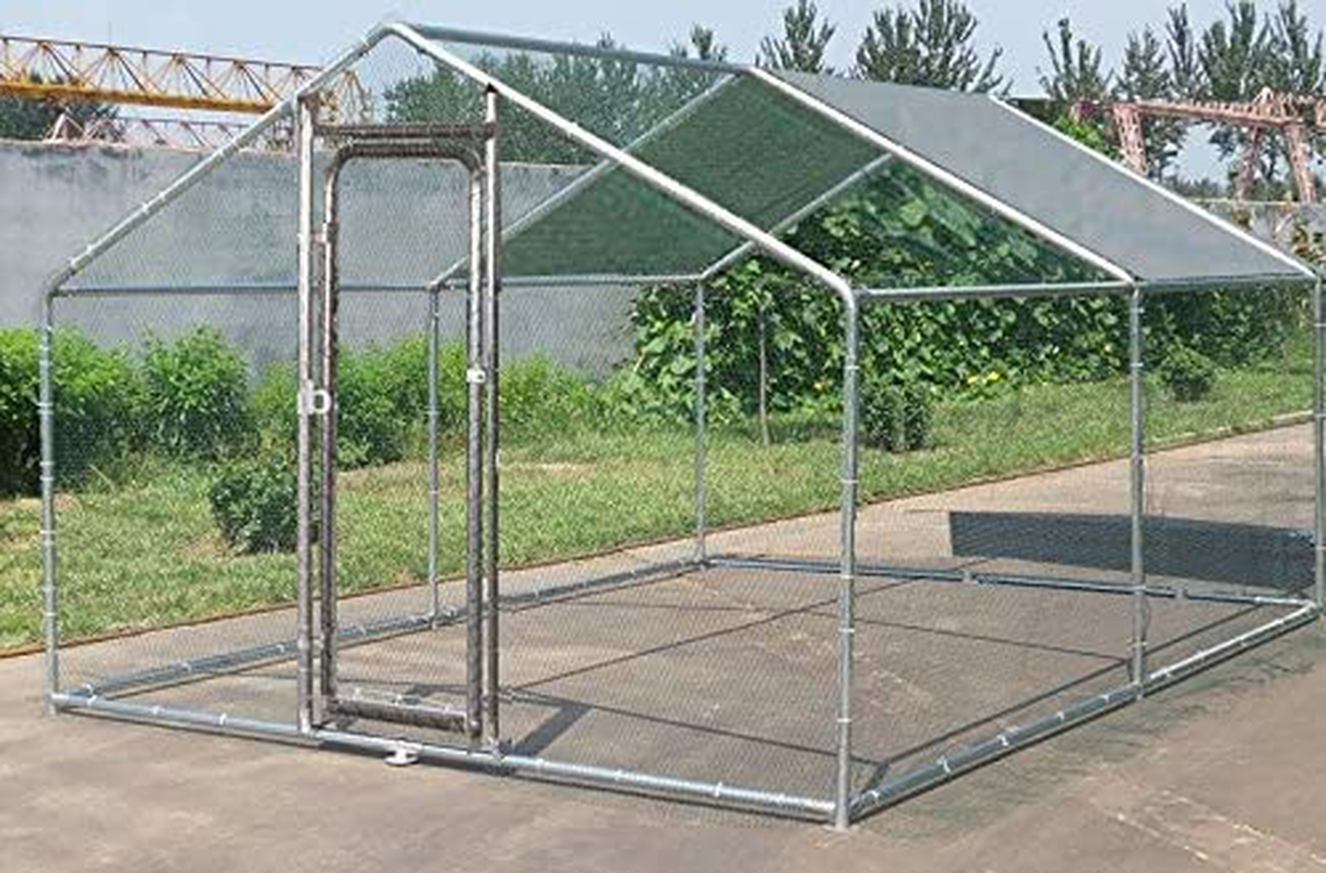 Chickencoopoutlet Large Metal 10X10 Ft Chicken Coop Backyard Hen House Cage Run Outdoor Cage Animals & Pet Supplies > Pet Supplies > Dog Supplies > Dog Kennels & Runs ChickenCoopOutlet   