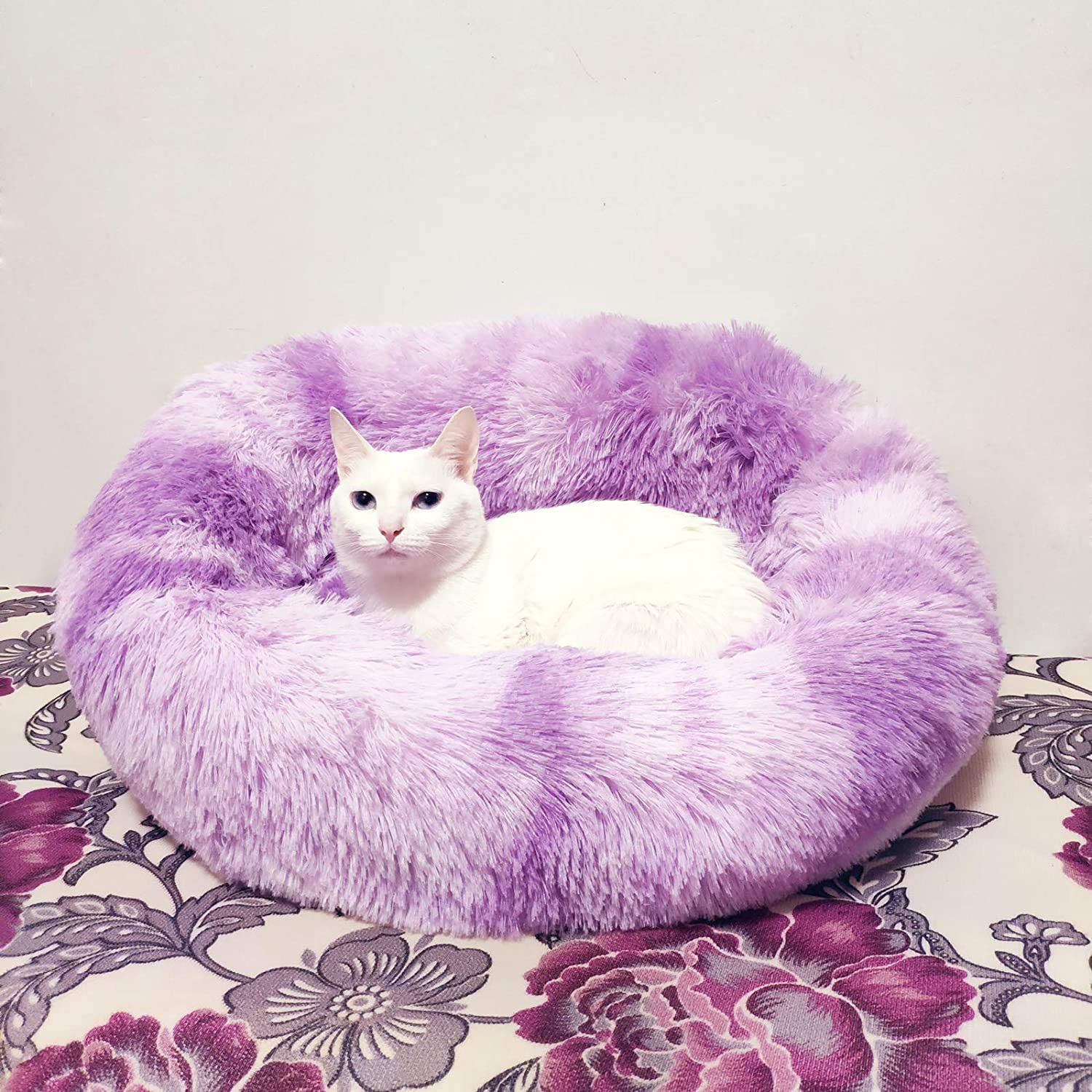 FAVOMATE Cat Beds for Indoor Cats, Machine Washable Dog Bed for Small Dogs, round Fluffy Donut Cuddler Calming Pet Bed, Anti-Anxiety Soft Plush Pet Bed for Puppy and Kitten Animals & Pet Supplies > Pet Supplies > Cat Supplies > Cat Furniture FAVOMATE Purple 20x20 Inch (Pack of 1) 