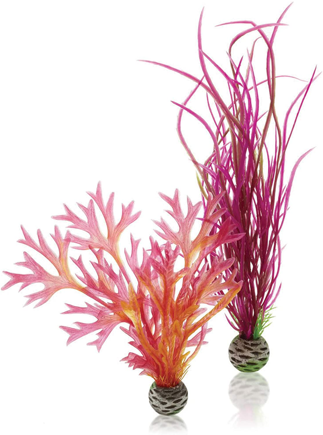 Biorb Easy Plant Sets Animals & Pet Supplies > Pet Supplies > Fish Supplies > Aquarium Decor Deepwater Aquatics Distribution Red/Pink Medium 