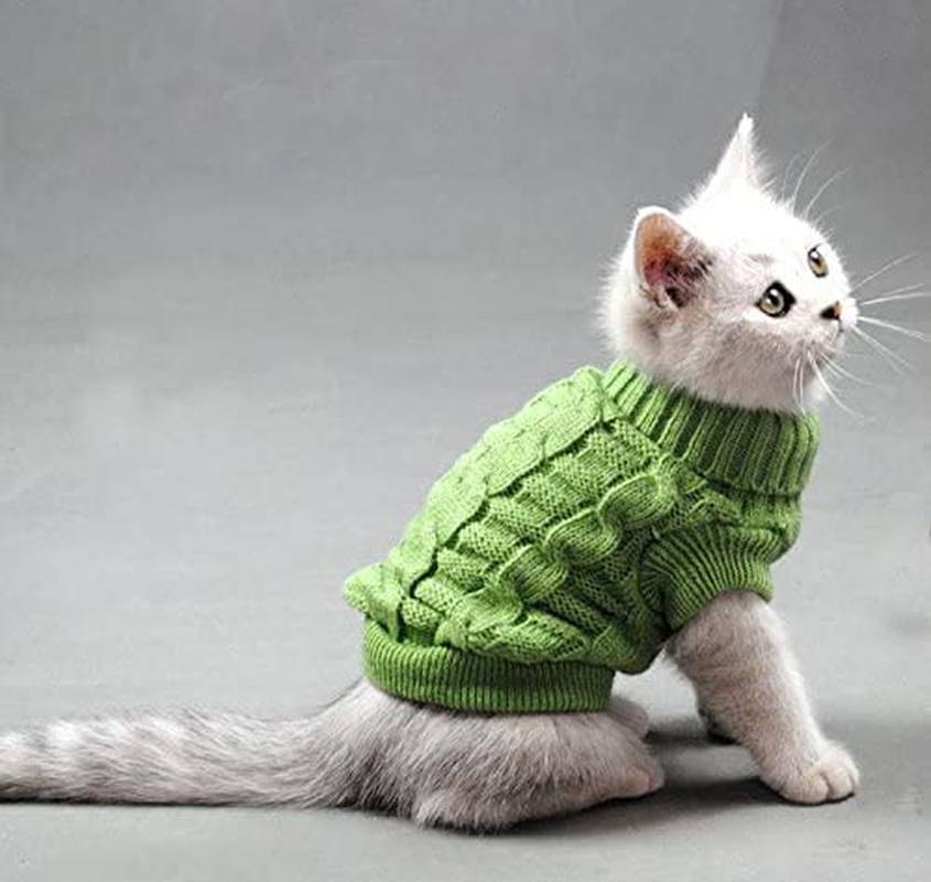 Evursua Pet Cat Sweater Kitten Clothes for Cats Small Dogs,Turtleneck Cat Clothes Pullover Soft Warm,Fit Kitty,Chihuahua,Teddy,Poodle,Pug Animals & Pet Supplies > Pet Supplies > Cat Supplies > Cat Apparel Evursua Green S 