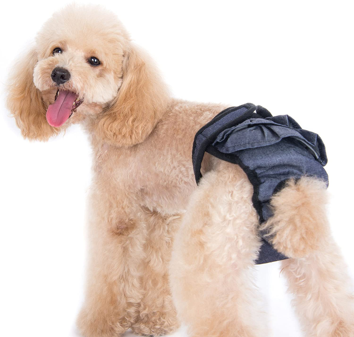 Alfie Pet - Maxine Diaper Dog Sanitary Pantie Animals & Pet Supplies > Pet Supplies > Dog Supplies > Dog Diaper Pads & Liners Alfie   