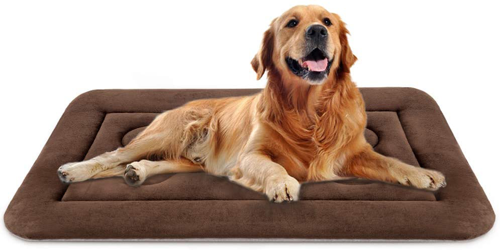 42 dog crate sales bed